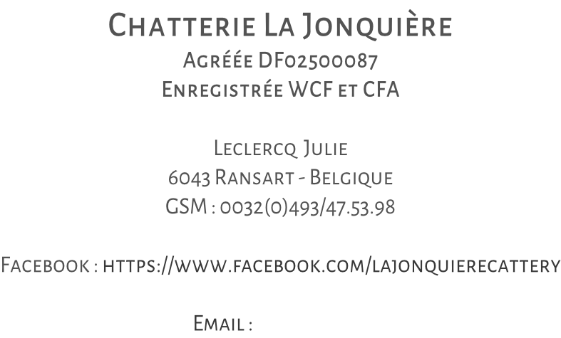 Chatterie La Jonquière Agréée DF02500087 Enregistrée WCF et CFA  Leclercq  Julie 6043 Ransart - Belgique GSM : 0032(0)493/47.53.98  Facebook : https://www.facebook.com/lajonquierecattery                                                        Email :