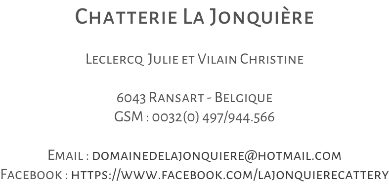 Chatterie La Jonquière  Leclercq  Julie et Vilain Christine  6043 Ransart - Belgique GSM : 0032(0) 497/944.566  Email : domainedelajonquiere@hotmail.com Facebook : https://www.facebook.com/lajonquierecattery